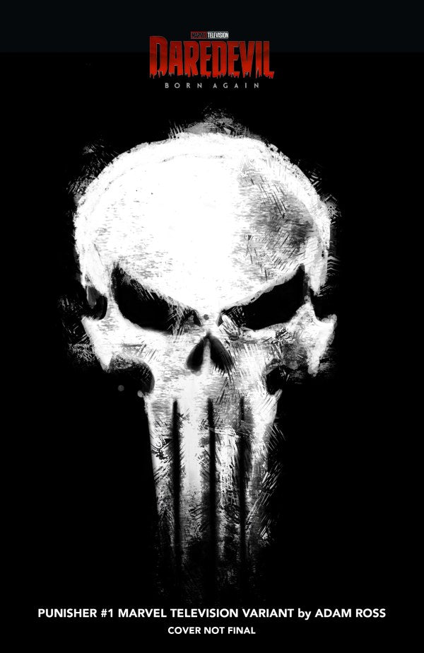 Skull design with 'Punisher' logo on a black background, featuring Marvel branding.